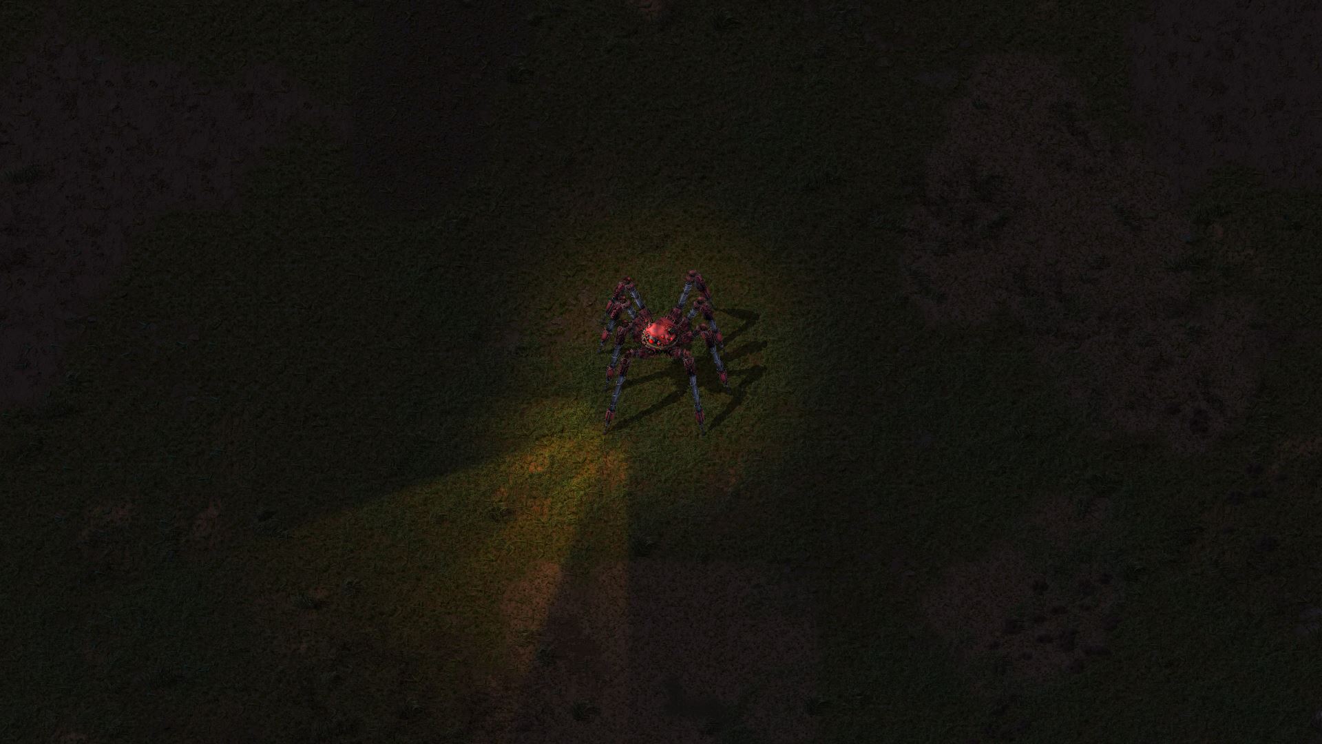Preview of Looking at map