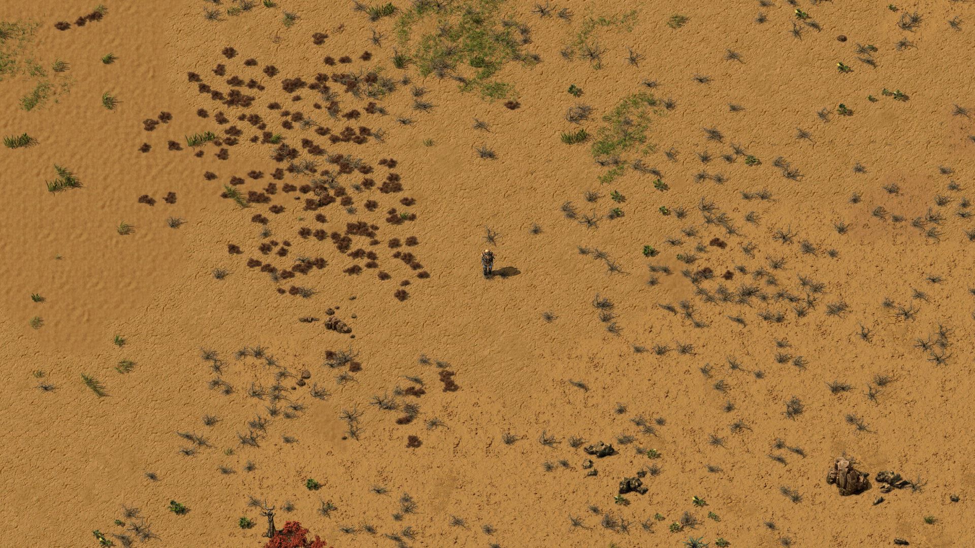 Preview of awwer